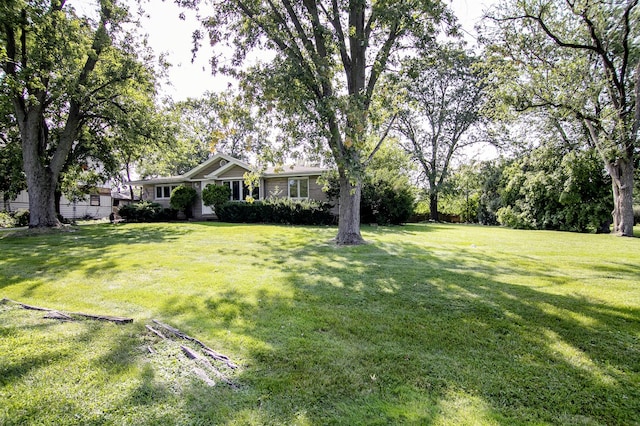 12332 S Harold Ave, Palos Heights, IL 60463 - view of yard