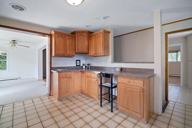 12332 S Harold Ave, Palos Heights, IL 60463 - kitchen featuring a baseboard radiator, dark countertops, a ceiling fan, and visible vents