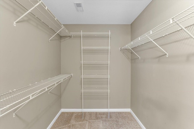 walk in closet featuring carpet floors