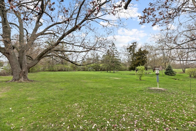 view of yard