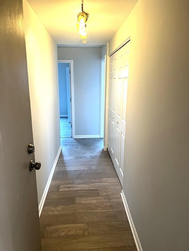 6150 N Kenmore Ave Unit 15B, Chicago, IL 60660 - hallway featuring dark wood-style floors and baseboards