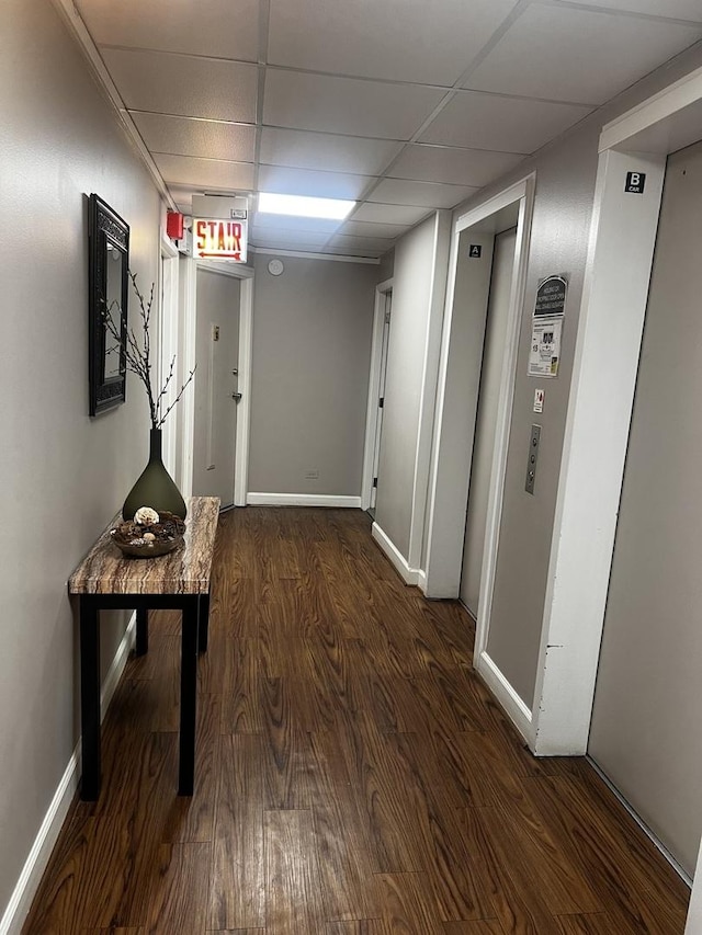 6150 N Kenmore Ave Unit 15B, Chicago, IL 60660 - corridor featuring a paneled ceiling, wood finished floors, and baseboards