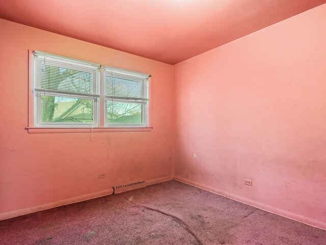 spare room with carpet