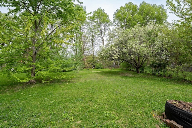 view of yard