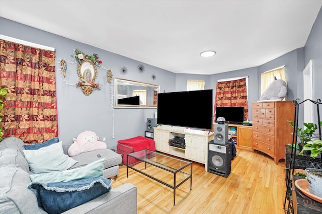 living area with light wood finished floors