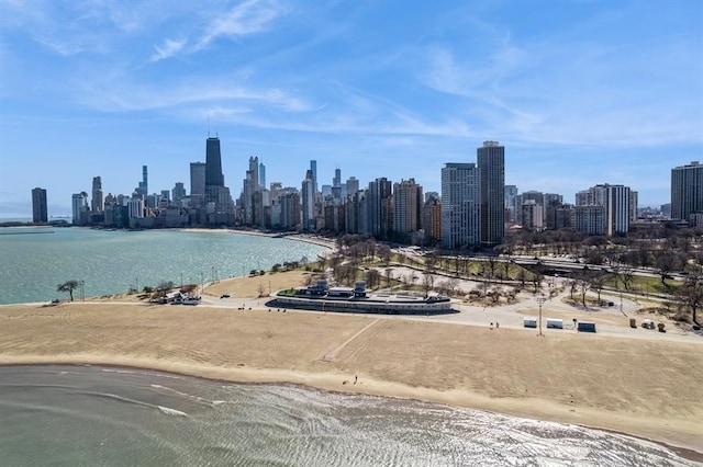 1555 N Dearborn Pkwy Unit 25Ab, Chicago, IL 60610 - view of water feature with a beach view and a city view