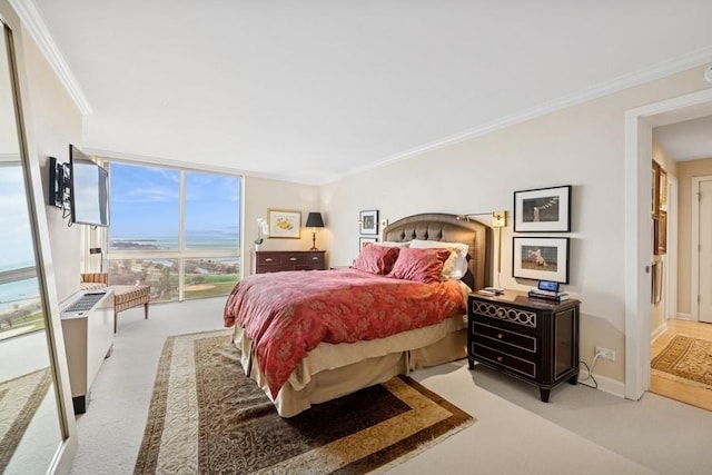 1555 N Dearborn Pkwy Unit 25Ab, Chicago, IL 60610 - bedroom featuring crown molding, baseboards, and light carpet