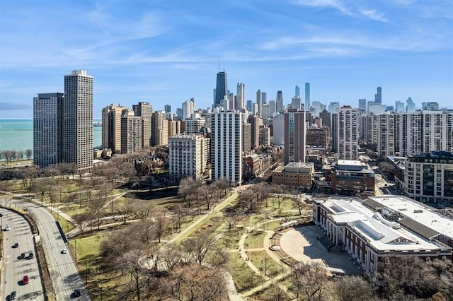 1555 N Dearborn Pkwy Unit 25Ab, Chicago, IL 60610 - property's view of city featuring a water view