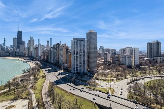 1555 N Dearborn Pkwy Unit 25Ab, Chicago, IL 60610 - property's view of city