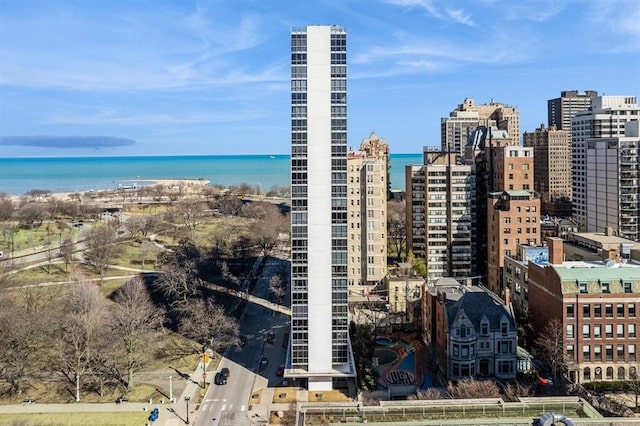 1555 N Dearborn Pkwy Unit 25Ab, Chicago, IL 60610 - city view with a water view