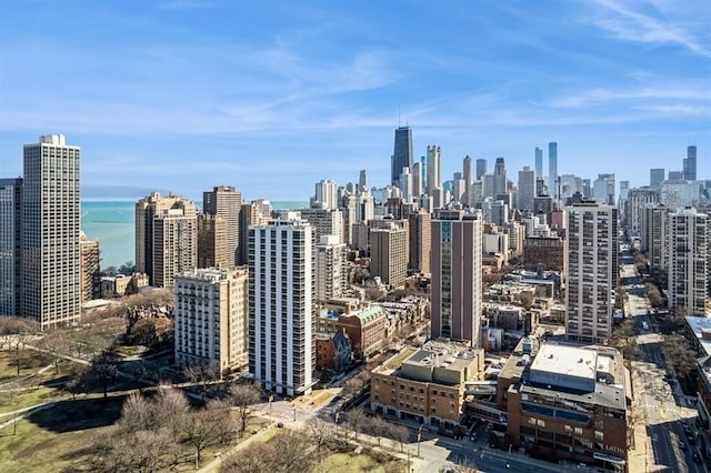 1555 N Dearborn Pkwy Unit 25Ab, Chicago, IL 60610 - city view with a water view