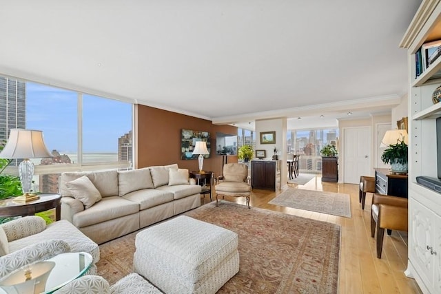 1555 N Dearborn Pkwy Unit 25Ab, Chicago, IL 60610 - living area with ornamental molding, light wood-style flooring, and a wealth of natural light