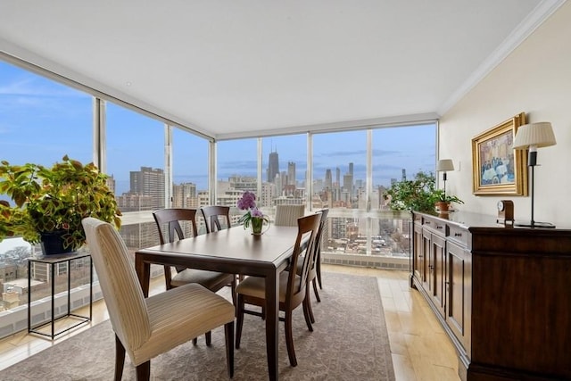 1555 N Dearborn Pkwy Unit 25Ab, Chicago, IL 60610 - sunroom / solarium with a view of city and a healthy amount of sunlight