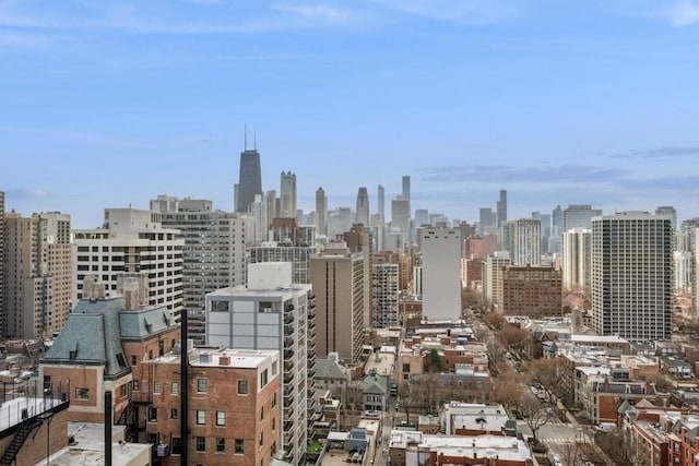 1555 N Dearborn Pkwy Unit 25Ab, Chicago, IL 60610 - view of city