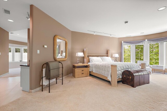 621 Chatfield Rd, New Lenox, IL 60451 - bedroom featuring light carpet, track lighting, baseboards, multiple windows, and recessed lighting