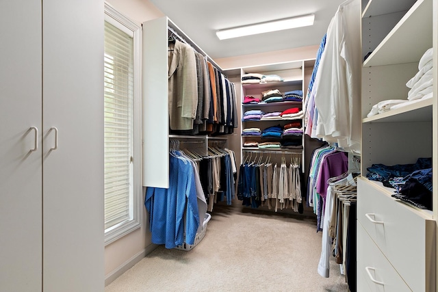 621 Chatfield Rd, New Lenox, IL 60451 - walk in closet featuring carpet flooring