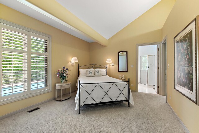 621 Chatfield Rd, New Lenox, IL 60451 - carpeted bedroom featuring multiple windows, lofted ceiling, and baseboards