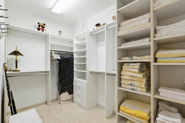 621 Chatfield Rd, New Lenox, IL 60451 - spacious closet featuring light colored carpet