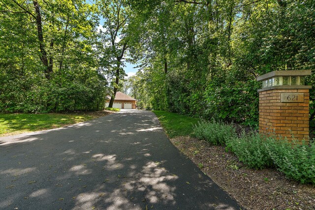 621 Chatfield Rd, New Lenox, IL 60451 - view of asphalt driveway