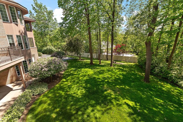 621 Chatfield Rd, New Lenox, IL 60451 - view of yard