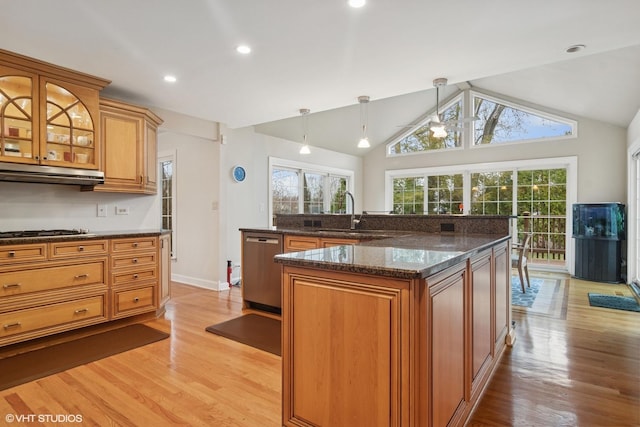 kitchen with light wood-style flooring, under cabinet range hood, brown cabinets, dishwasher, and a sink