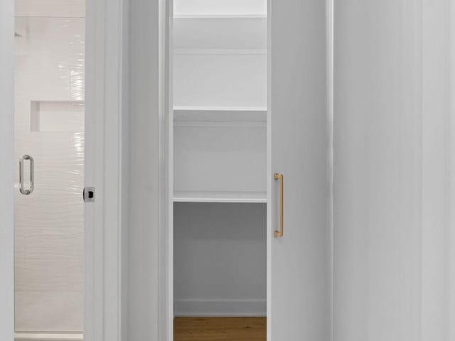 1355 N Sandburg Ter Unit 906D, Chicago, IL 60610 - view of closet
