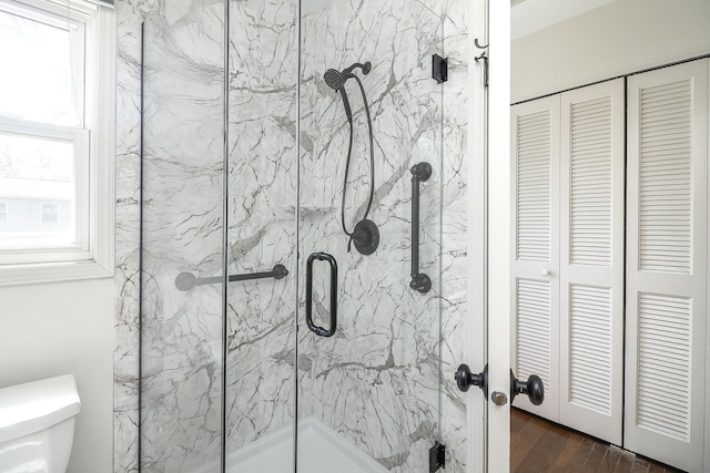 416 E Bauer Rd, Naperville, IL 60563 - full bath with a healthy amount of sunlight, a marble finish shower, toilet, and a closet