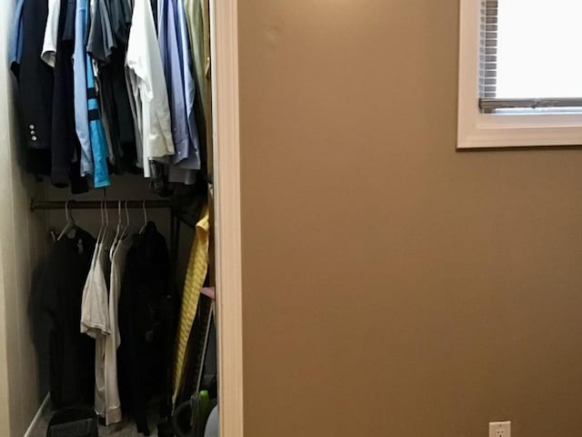 view of closet