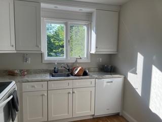 113 E Winchester Rd Unit C, Libertyville, IL 60048 - kitchen featuring light countertops, wood finished floors, a sink, white appliances, and white cabinetry