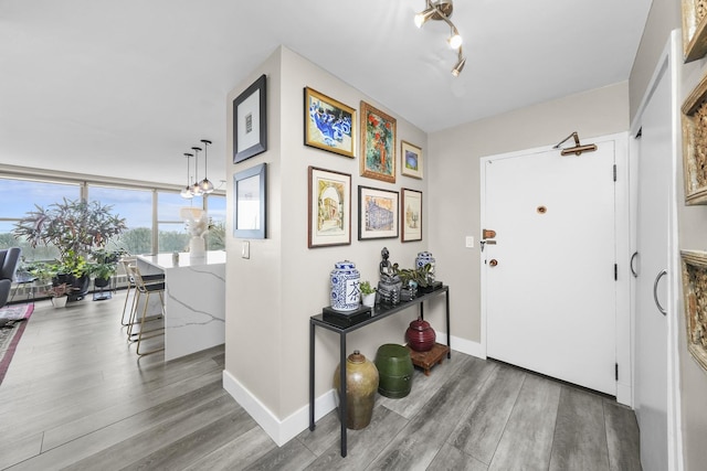 foyer entrance featuring a chandelier, rail lighting, baseboards, and wood finished floors