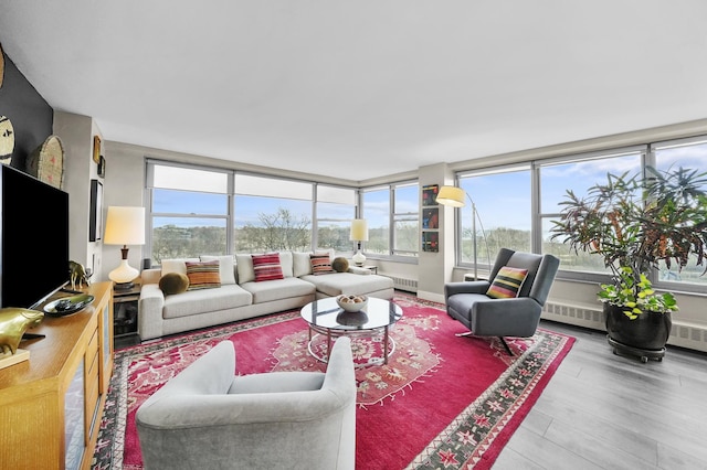 living room featuring wood finished floors and a baseboard heating unit