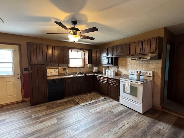 kitchen with black appliances, a sink, under cabinet range hood, tasteful backsplash, and ceiling fan