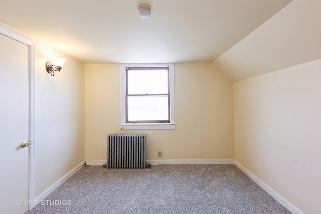 16224 Kedzie Ave, Markham, IL 60428 - additional living space featuring radiator heating unit, carpet flooring, and vaulted ceiling