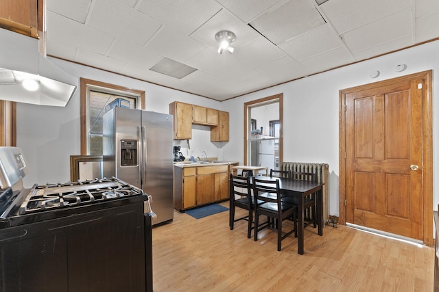 1913 N Kildare Ave, Chicago, IL 60639 - kitchen with light countertops, stainless steel appliances, a sink, radiator heating unit, and light wood-style flooring