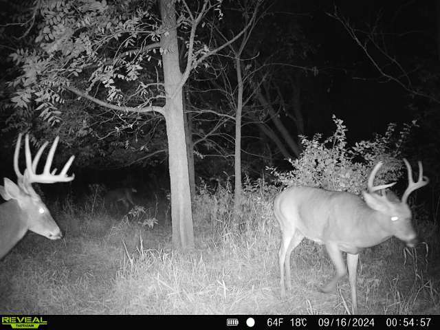 10385 N Rock City Rd, German Valley, IL 61039 - photo 102