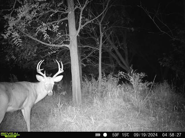 10385 N Rock City Rd, German Valley, IL 61039 - photo 103
