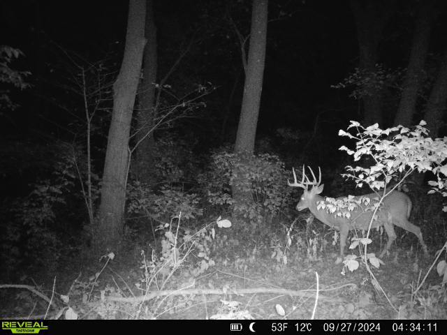 10385 N Rock City Rd, German Valley, IL 61039 - photo 107