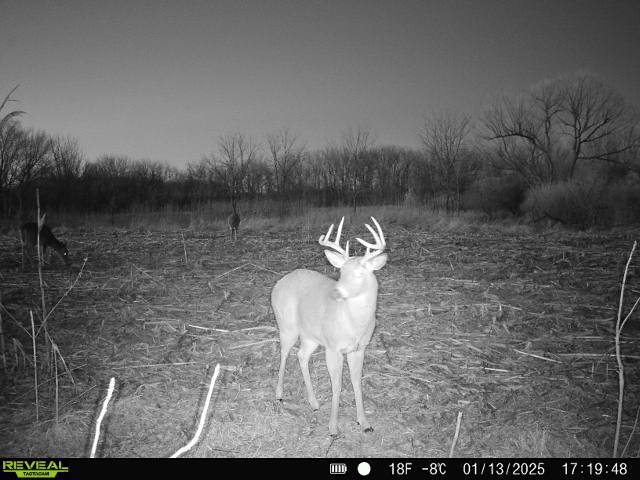 10385 N Rock City Rd, German Valley, IL 61039 - photo 108