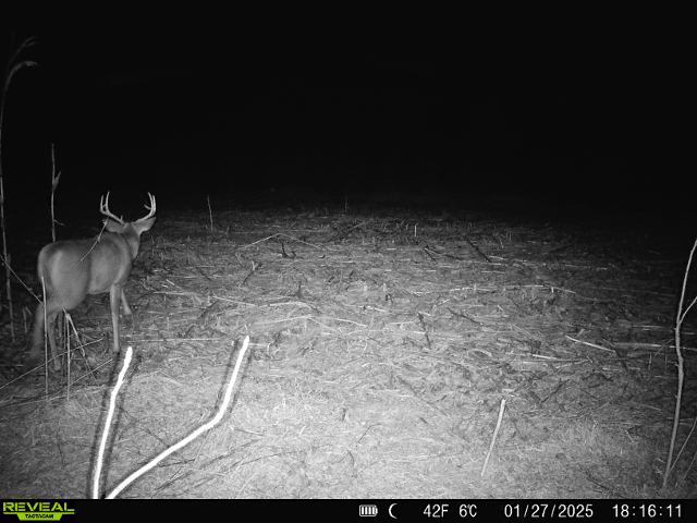 10385 N Rock City Rd, German Valley, IL 61039 - photo 109