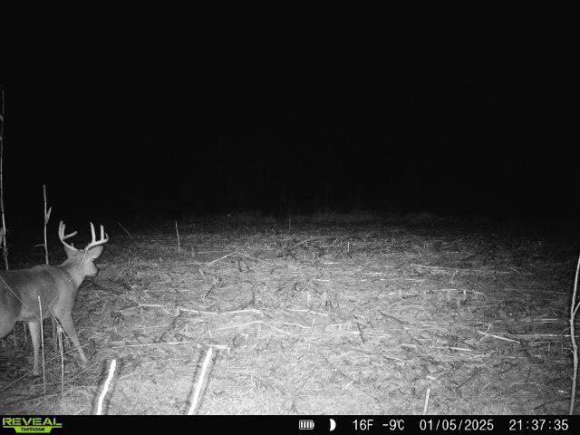 10385 N Rock City Rd, German Valley, IL 61039 - photo 112