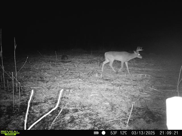 10385 N Rock City Rd, German Valley, IL 61039 - photo 113