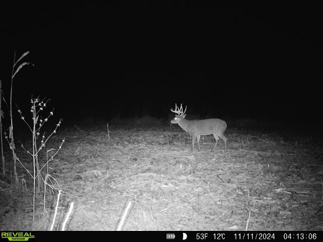 10385 N Rock City Rd, German Valley, IL 61039 - photo 115