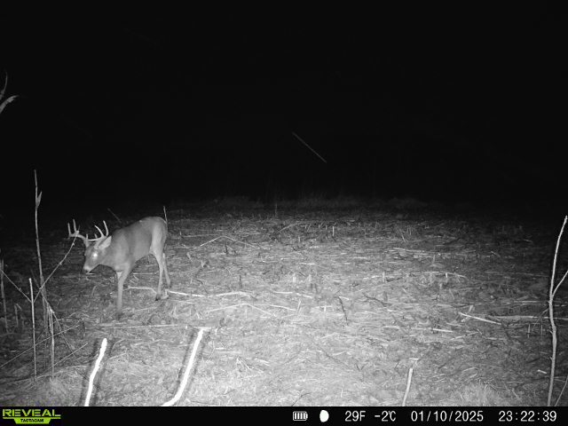 10385 N Rock City Rd, German Valley, IL 61039 - photo 118
