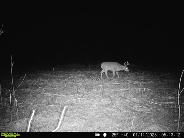 10385 N Rock City Rd, German Valley, IL 61039 - photo 119