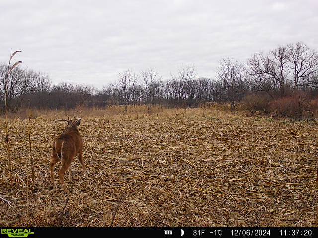 10385 N Rock City Rd, German Valley, IL 61039 - photo 120