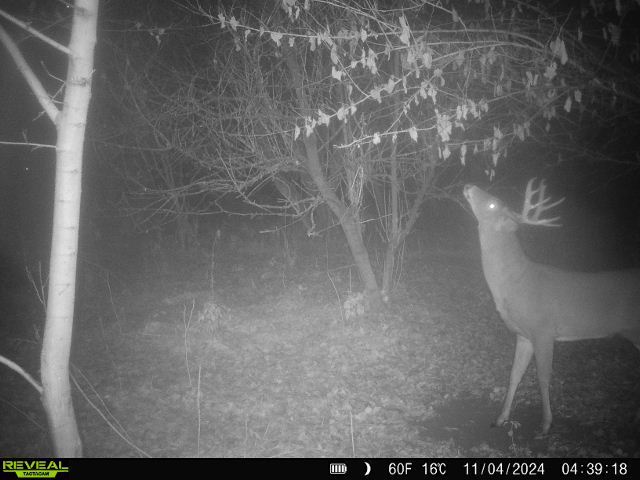 10385 N Rock City Rd, German Valley, IL 61039 - photo 122