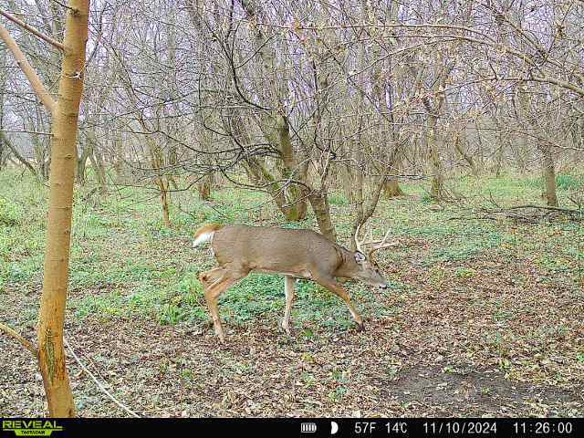10385 N Rock City Rd, German Valley, IL 61039 - photo 123