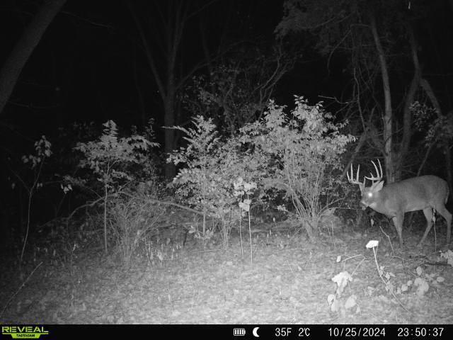 10385 N Rock City Rd, German Valley, IL 61039 - photo 126