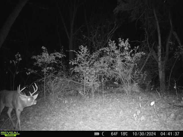 10385 N Rock City Rd, German Valley, IL 61039 - photo 127
