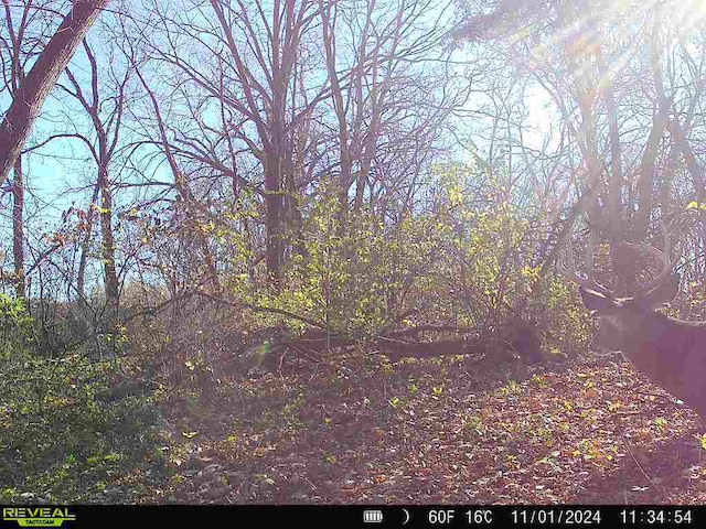 10385 N Rock City Rd, German Valley, IL 61039 - photo 128